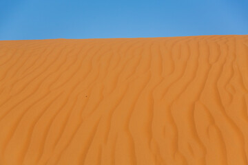 オマーンの砂漠
