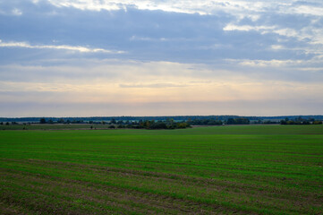 Obraz premium Landscape photo of a blue sky against a green field in the setting sun in autumn
