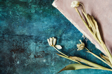 faded tulips on a pale pink and blue background, free space for text