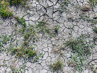 Dry cracked soil ground texture background. Dry grass lawn texture