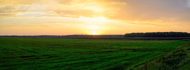 Panoramic photo of a green field in the orange setting sun in autumn against the backdrop of a dramatic sky - 384510088