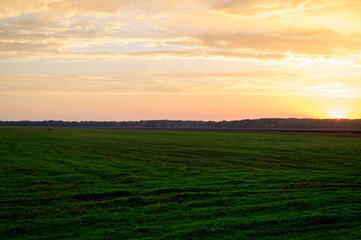 Landscape photo of the evening sunset sky in autumn against the background of a green field in the orange sun
