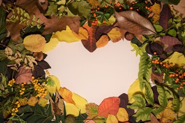 Abstract autumn heart - shaped leaf frame.