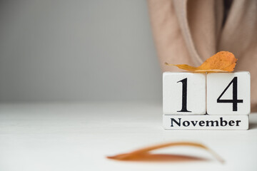fourteenth day of autumn month calendar November with copy space