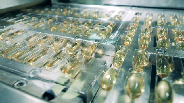 Conveyor belt relocating pills of fish oil. Close up