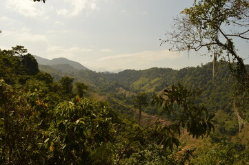 Hiking to Ciudad Perdida (The Lost City) in Colombias jungle and mountains of Sierre Nevada de Santa Marta 