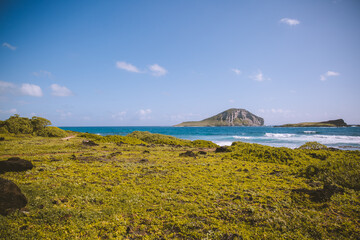  Oceanfront, Makapuu beach park, Oahu, Hawaii