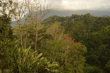 Hiking to Ciudad Perdida (The Lost City) in Colombias jungle and mountains of Sierre Nevada de...