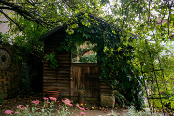 Fototapeta na wymiar Old wooden garden shed with mirror on the door standing under apple tree