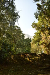 Fototapeta premium Hiking to Ciudad Perdida (The Lost City) in the jungle and mountains of Colombias Sierra Nevada de Santa Marta