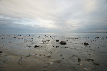 mudflat in Wilhelmshafen Germany north sea