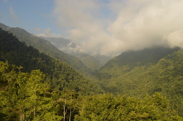 Fototapeta premium Hiking to Ciudad Perdida (The Lost City) in the jungle and mountains of Colombias Sierra Nevada de Santa Marta