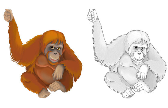 cartoon sketch scene with monkey ape orangutan - illustration