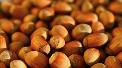 Background with hazelnuts. Healthy autumn nuts.