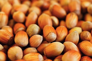 Background with hazelnuts. Healthy autumn nuts.