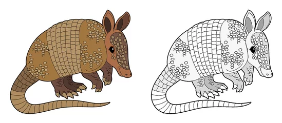 Foto op Canvas cartoon sketch scene with armadillo on white background - illustration © agaes8080