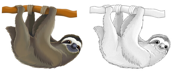 cartoon happy scene with sketch sloth animal - illustration © agaes8080
