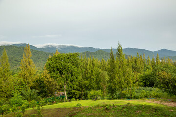 Obraz premium view of the hills in suanpueng ratchaburi bangkok thailand.