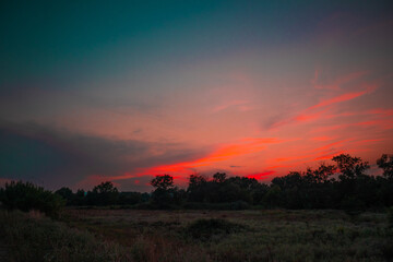 Fototapeta premium beautiful pink cloudy sunset at the fields 