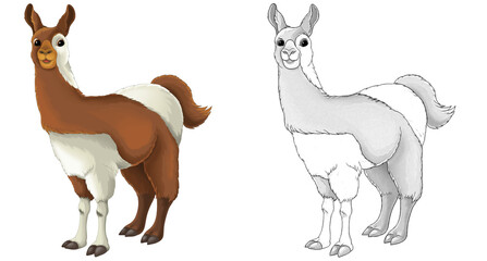 cartoon happy scene with sketch llama animal - illustration © agaes8080