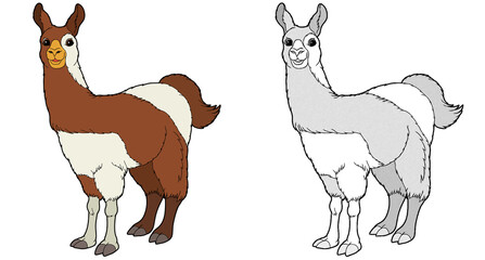 cartoon happy scene with sketch llama animal - illustration