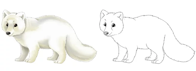 Muurstickers cartoon scene with arctic polar fox animal with sketch - illustration © agaes8080