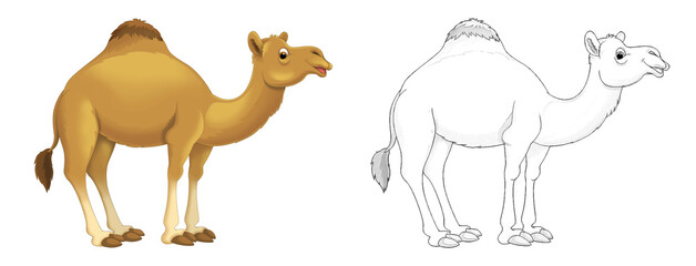 Cartoon animal camel dromedary with sketch - illustration