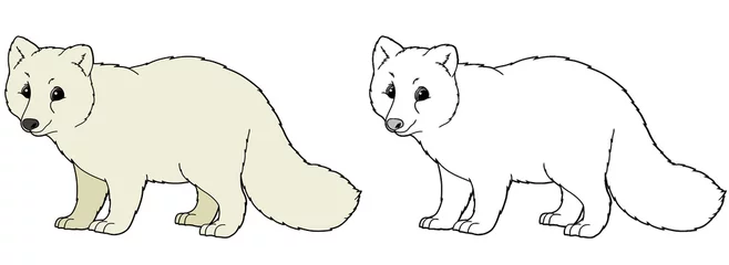 Fototapete cartoon scene with arctic polar fox animal with sketch - illustration © agaes8080