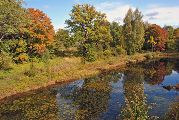 Autumn landscape. Trees and pond in the old park