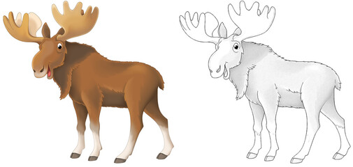 cartoon scene with moose animal with sketch - illustration