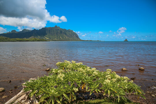 Kualoa coean view from Waiahole Beach Park, oahu, hawaii