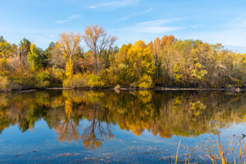 Fototapeta na wymiar A beautiful autumn landscape - the shore of a forest lake, overgrown with trees with autumn golden leaves and a blue sky that are reflected in clear water