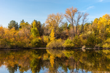 A beautiful autumn landscape - the shore of a forest lake, overgrown with trees with autumn golden leaves and a blue sky that are reflected in clear water