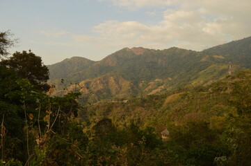 Fototapeta na wymiar The Colombian rainforest and mountain landscapes of the Sierra Nevada de Santa Maria region
