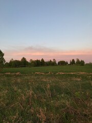 Fototapeta premium sunset over the field