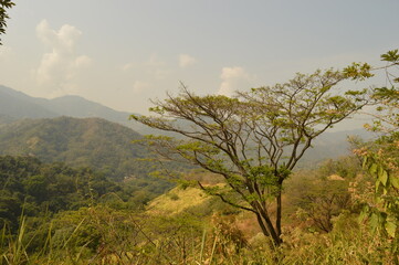 The Colombian rainforest and mountain landscapes of the Sierra Nevada de Santa Maria region