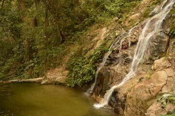 The Colombian rainforest and mountain landscapes of the Sierra Nevada de Santa Maria region