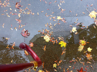 autumnal colored maple leaves on a street puddle with mirrored umbrella