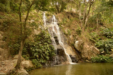 The Colombian rainforest and mountain landscapes of the Sierra Nevada de Santa Maria region