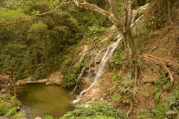 The Colombian rainforest and mountain landscapes of the Sierra Nevada de Santa Maria region