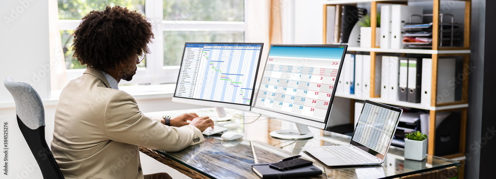 Poster gantt schedule plan on computer screen