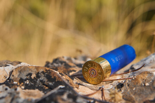 Blue shotgun cartridge dropped in the field during a small game in Malaga. Spain