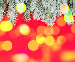Winter fir garland on red Christmas bokeh background