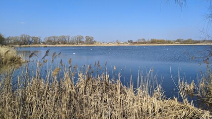 Winter, autumn, river,pond