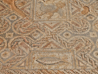 Ancient Greek mosaic found in Kourion, Cyprus.