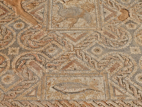 Ancient Greek Mosaic Found In Kourion, Cyprus.