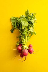 a bunch of fresh raw redish vegetable with leafs isolated