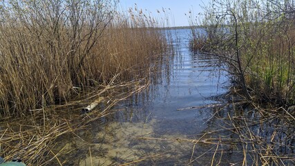 Winter, autumn, river,pond