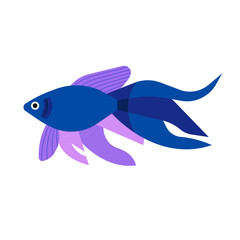 Vector illustration of fish isolated on white background. Handdrawn design element