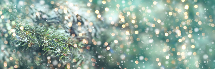 Christmas and winter background with fir branch, falling snowflakes and magic gold bokeh lights -...